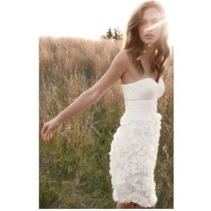 JS Collections Chiffon Champagne Pink Blush 12